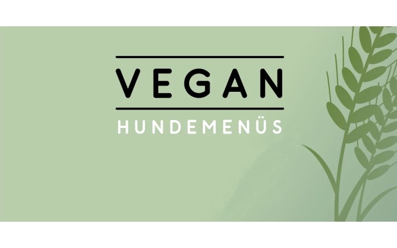 Vegane Bio-Hunde-Futter Menüs aus ökologischer Erzeugung